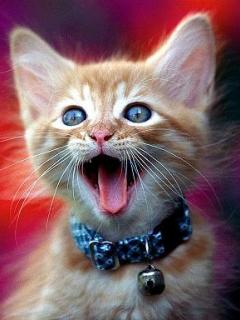 Other Wallpapers 0553